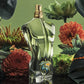 Jean Paul Gaultier Le Beau Paradise Garden 125ml - (swissforest)